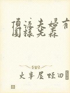 顶流夫妇有点甜图样先森