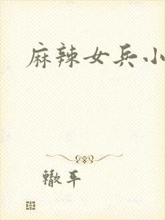 麻辣女兵小说版