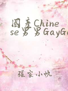 国产Chinese男男GayGayAPP
