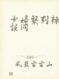 少妇系列辣文小说网