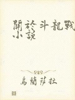 关于斗龙战士的小说