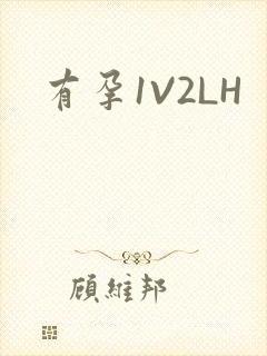 有孕1V2LH