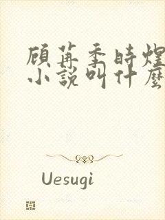 顾苒季时煜电竞小说叫什么名字