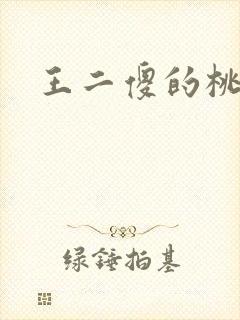 王二傻的桃花运