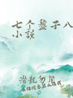 七个盘子八个碗小说