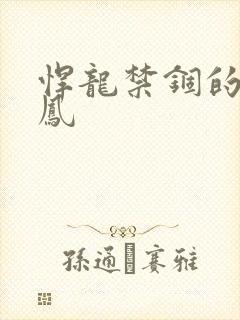 悍龙禁锢的小野凤