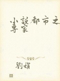 小说都市之军火专家