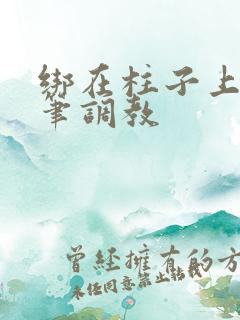 绑在柱子上用毛笔调教