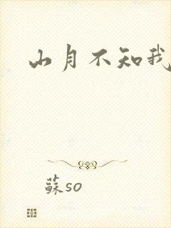 山月不知我心事