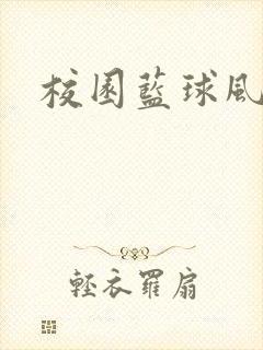 校园蓝球风云