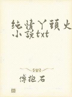 纯情丫头火辣辣小说txt