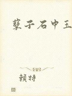 孽子石中玉