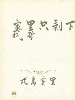 家里只剩下我和我哥