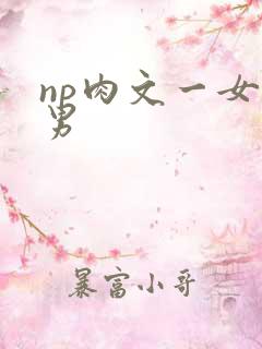 np肉文一女多男