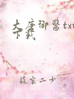 大唐御医txt下载