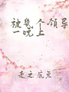 被几个领导玩弄一晚上