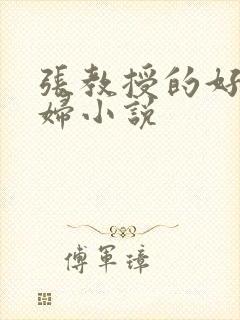 张教授的好儿媳妇小说