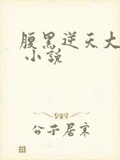 腹黑逆天大小姐 小说