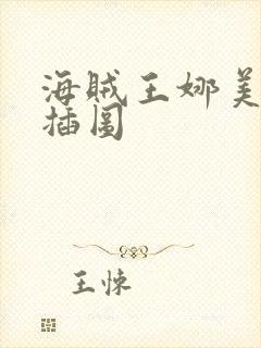 海贼王娜美被轮插图