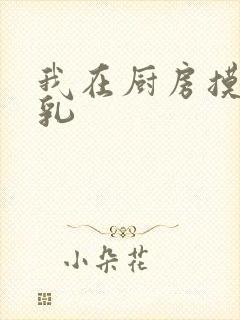 我在厨房摸岳的乳
