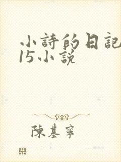 小诗的日记1一15小说