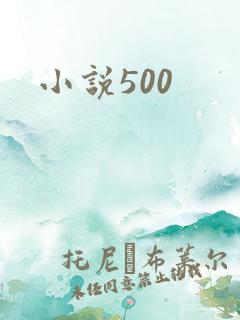 小说500
