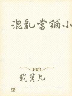 混乱当铺小说