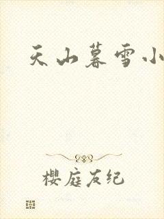 天山暮雪小说
