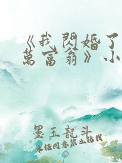 《我闪婚了个亿万富翁》小说