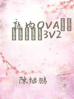熟肉OVAちゃんはしたい3V2
