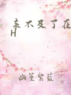 来不及了在车CH