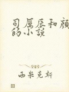 司厉辰和颜辞兮的小说