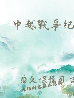 中越战争纪实录