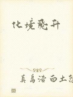 化境飞升