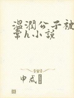 温润公子被脔日常h小说