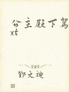 公主殿下驾到txt