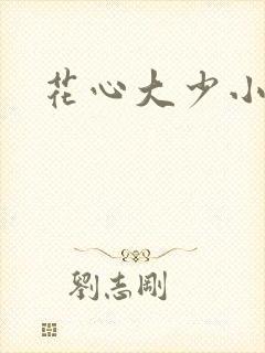 花心大少小说