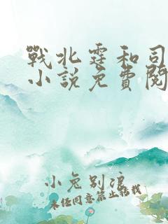 战北霆和司情的小说免费阅读