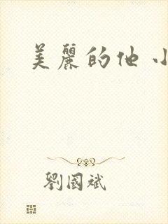 美丽的他 小说