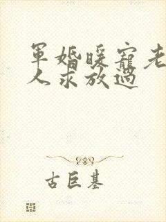 军婚暖宠老公大人求放过