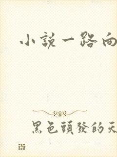小说一路向西