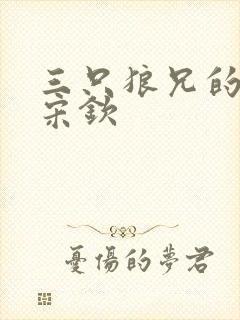 三只狼兄的宠妻宋钦