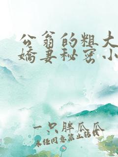 公翁的粗大放进娇妻秘密小说