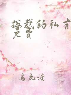 总裁的私有宝贝免费