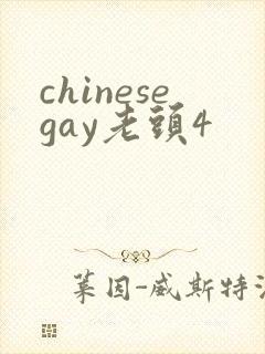chinesegay老头4