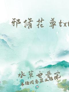 邪修花尊txt