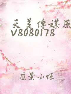 天美传媒原创MV8080178