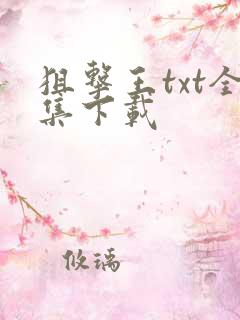 狙击王txt全集下载