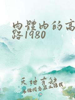 肉体内的高速公路1980