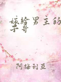 嫁给男主的病秧子哥